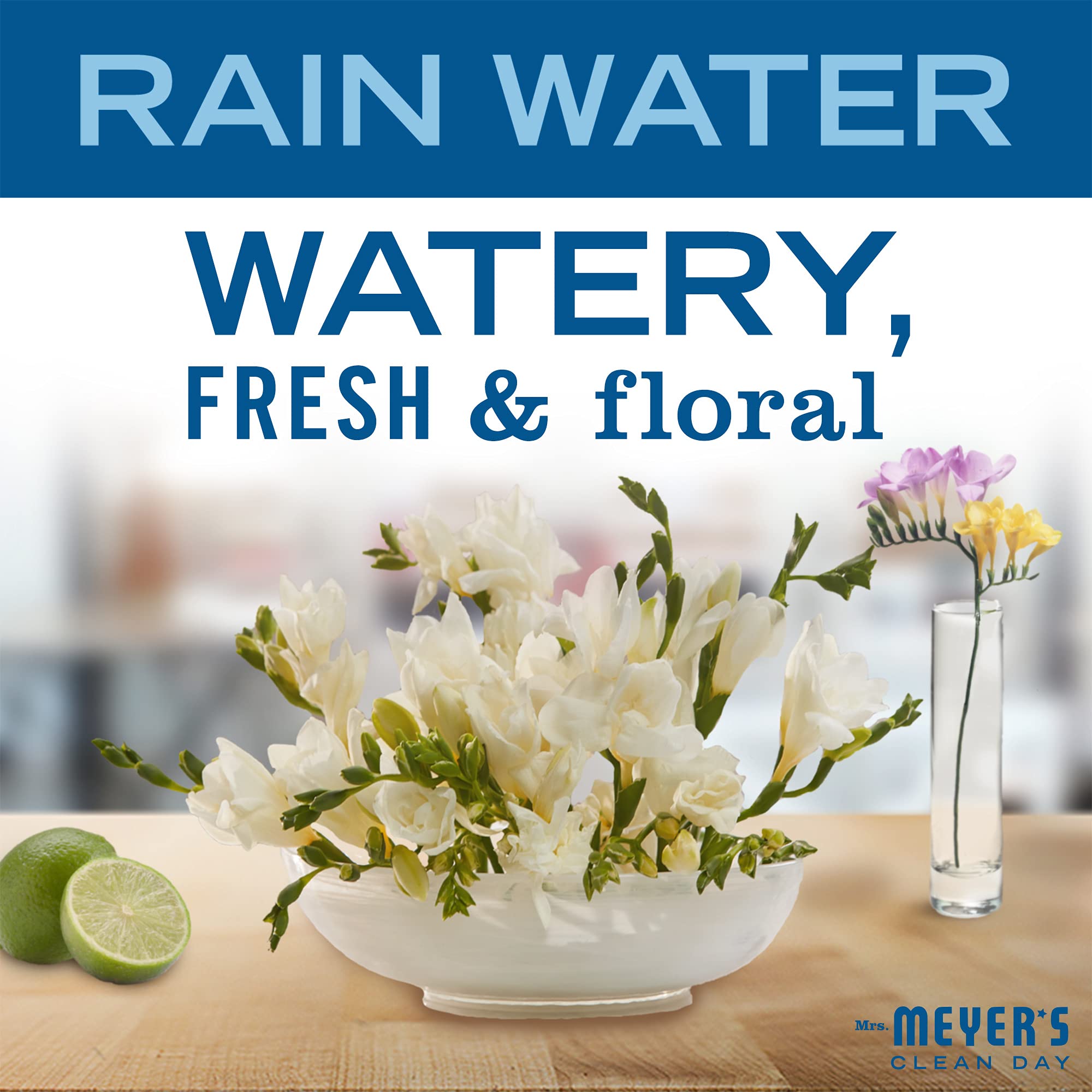 Mrs. Meyer's Clean Day Ultra Concentrated Laundry Detergent, Rain Water Scent, 720mL