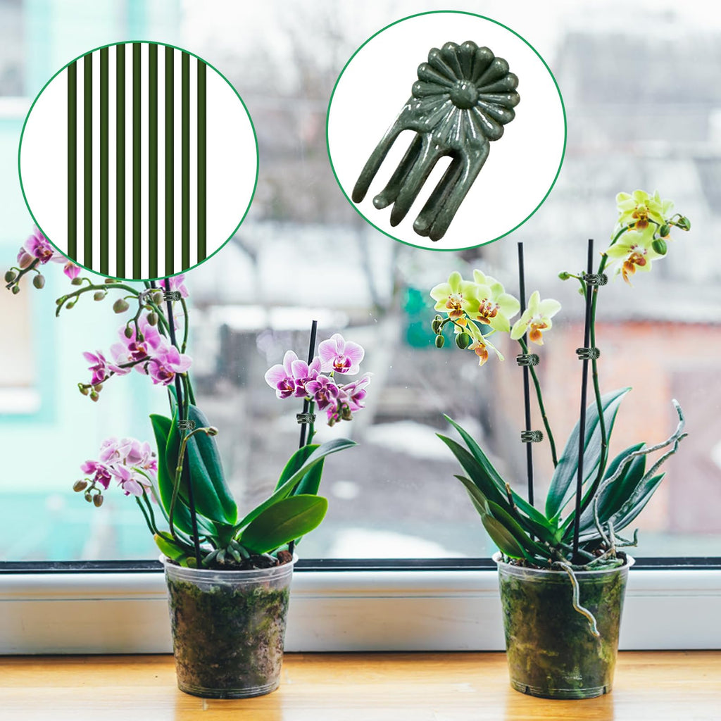 50Pcs Plant Stake Clip Set Green, Plant Sticks Supplies Support Tall, Useful Support Clips, Fine Workmanship Allow Bending Suitable for Various Pots Indoors and Outdoors