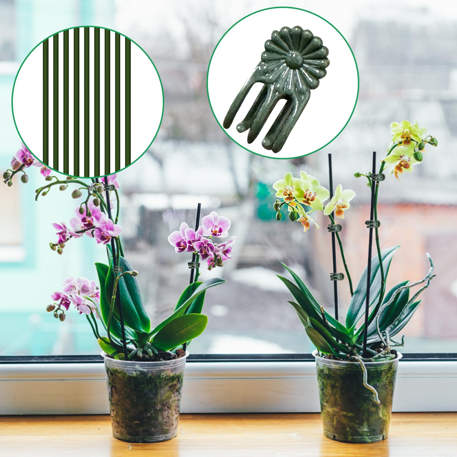 50Pcs Plant Stake Clip Set Green, Plant Sticks Supplies Support Tall, Useful Support Clips, Fine Workmanship Allow Bending Suitable for Various Pots Indoors and Outdoors