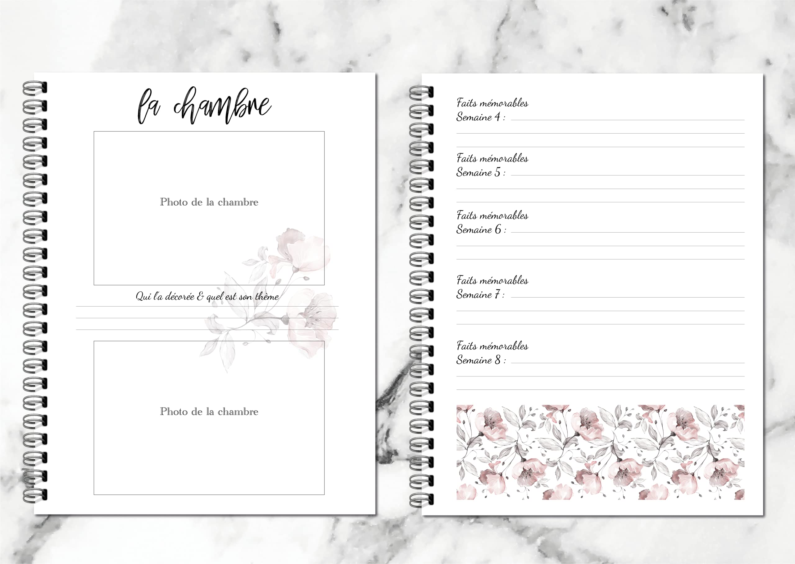 Journal De Grossesse (en français)