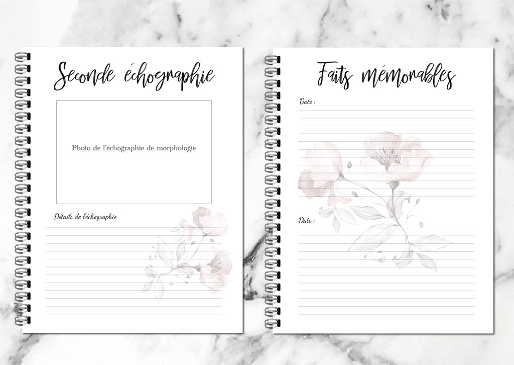 Journal De Grossesse (en français)
