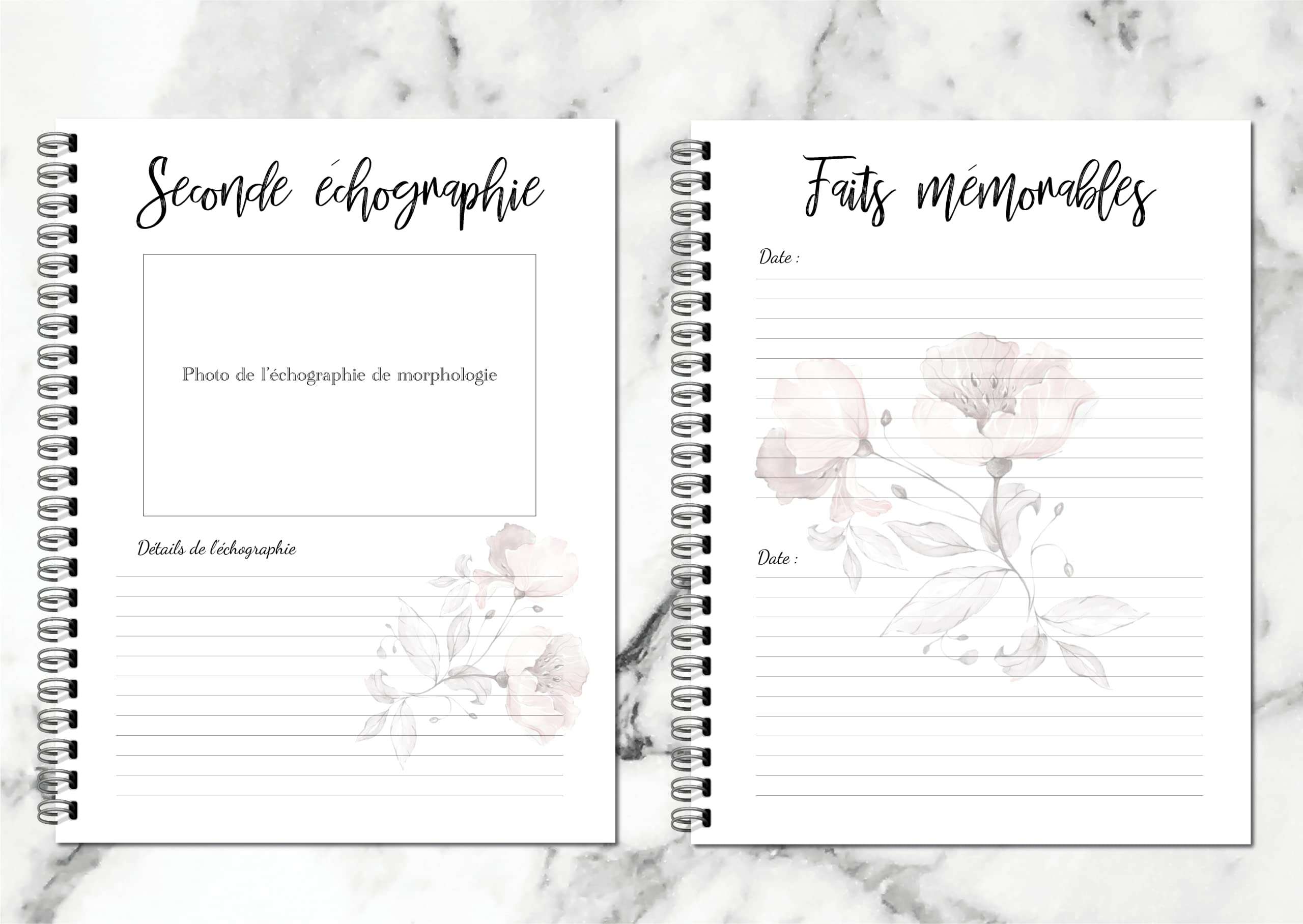 Journal De Grossesse (en français)