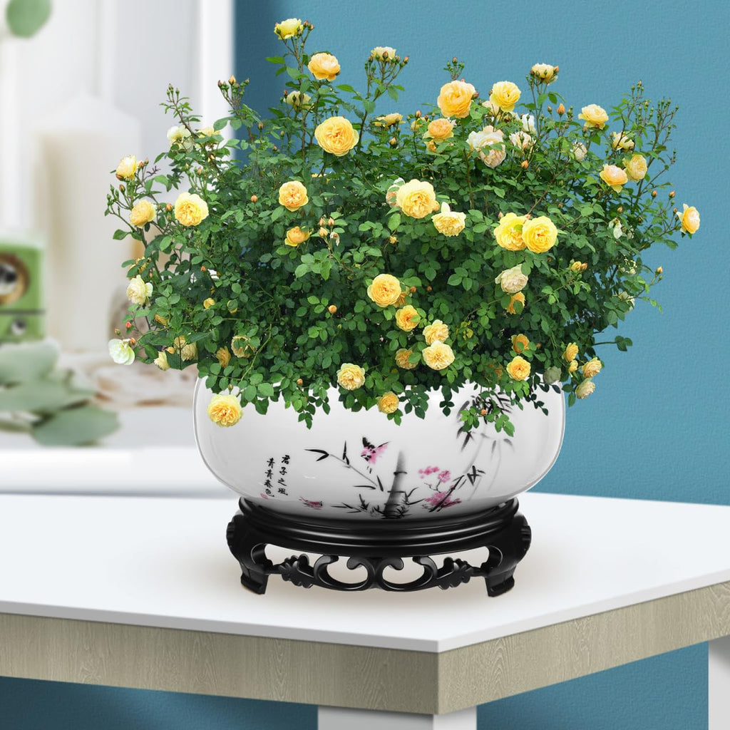 YARNOW Hydroponic Ceramic Planter Pot with Base 6.88 Inch Porcelain Flower Pot for Indoor Succulent Plants Orchid Bonsai Home and Office Garden Decor