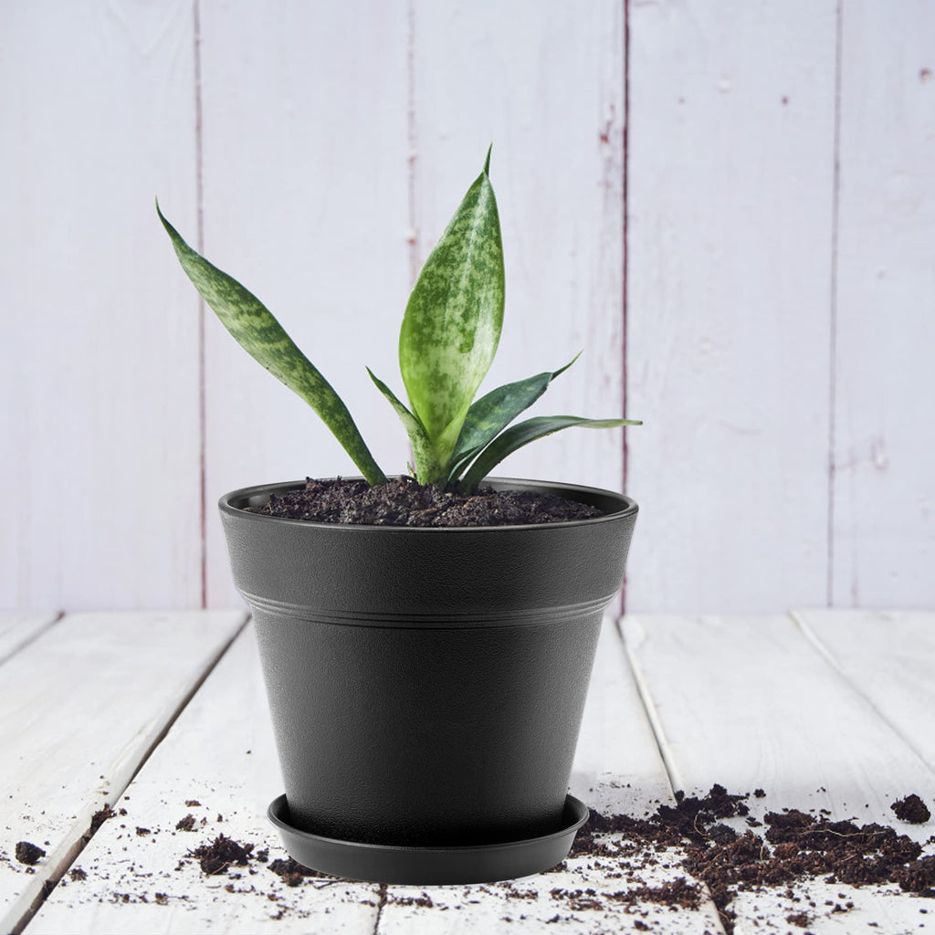 FHWTY 4 inch Plastic Plant Pots with Drainage Holes and Tray, 16 Pack Thickened Indoor Planters Seedlings Nursery Pots for Flowers, African Violet, Succulent and All House Plants, Black