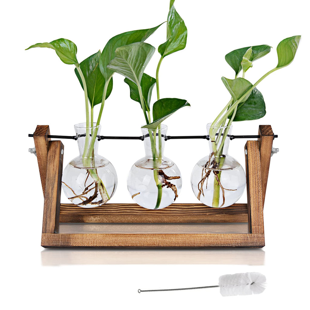 Hbnlai Plant Propagation Station, Plant Terrarium with Wooden Stand for Hydroponic Plants Home Garden Office Decor Indoor, Gardening Birthday Gifts for Women Mom - 3 Bulb Glass Vases