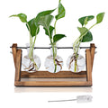 Hbnlai Plant Propagation Station, Plant Terrarium with Wooden Stand for Hydroponic Plants Home Garden Office Decor Indoor, Gardening Birthday Gifts for Women Mom - 3 Bulb Glass Vases