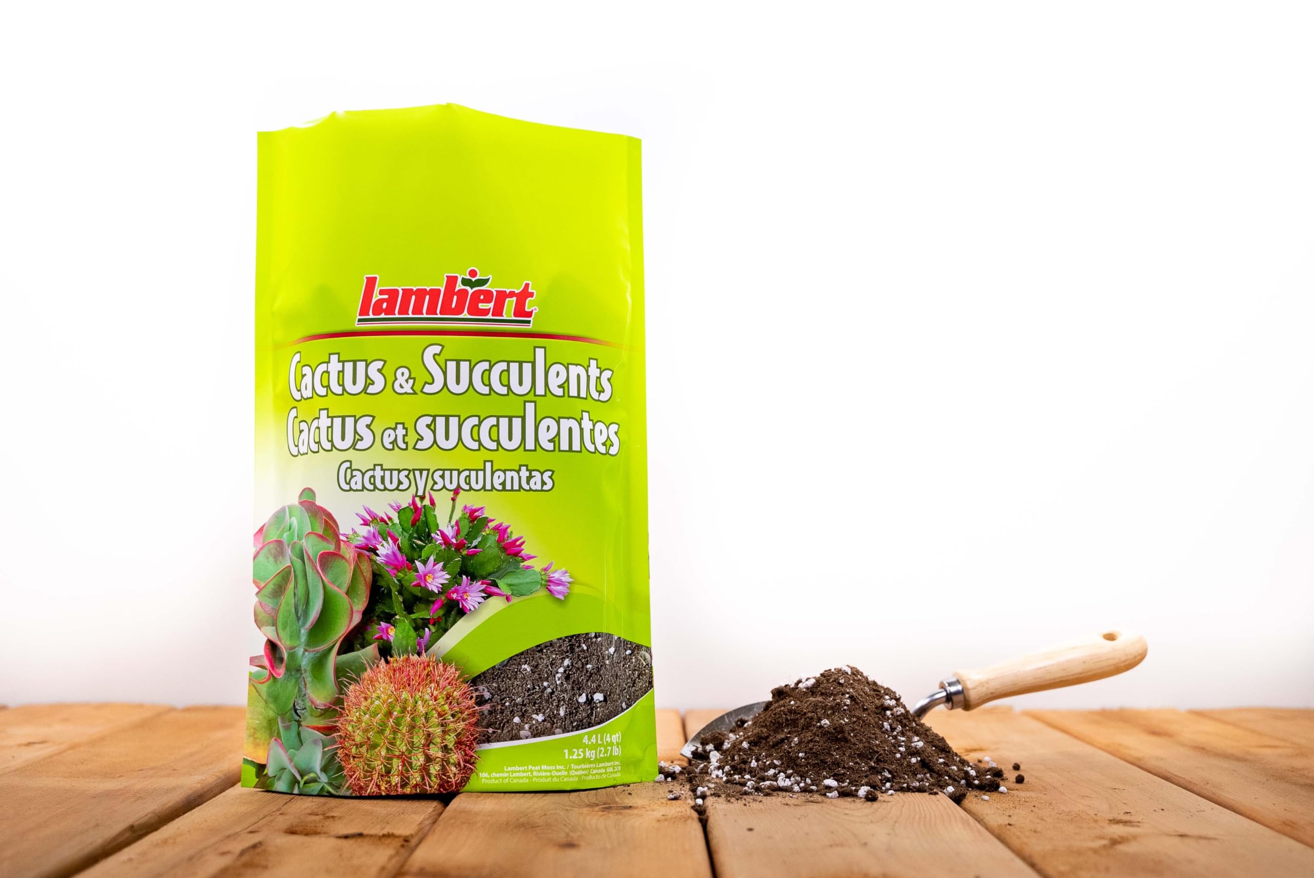Lambert Cactus & Succulent Mix - 4.4L