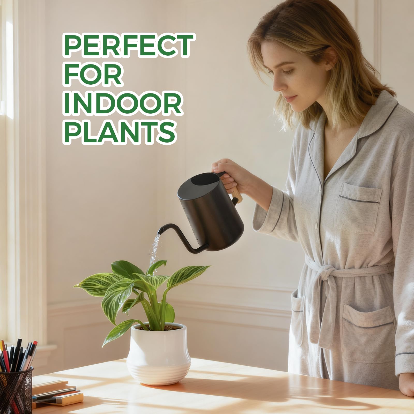 Bamworld Watering Can Indoor Plants 35oz Small Watering Can Stainless Steel Water Can for Indoor Outdoor Home Plants Garden Flowers（Black）