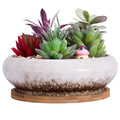 Succulent Pot - 7.3 Inch Succulent Planter with Drainage Hole Shallow Bonsai Pot with Tray, Large Ceramic Flower Pot Garden Decorative Cactus Plant Container Bowl