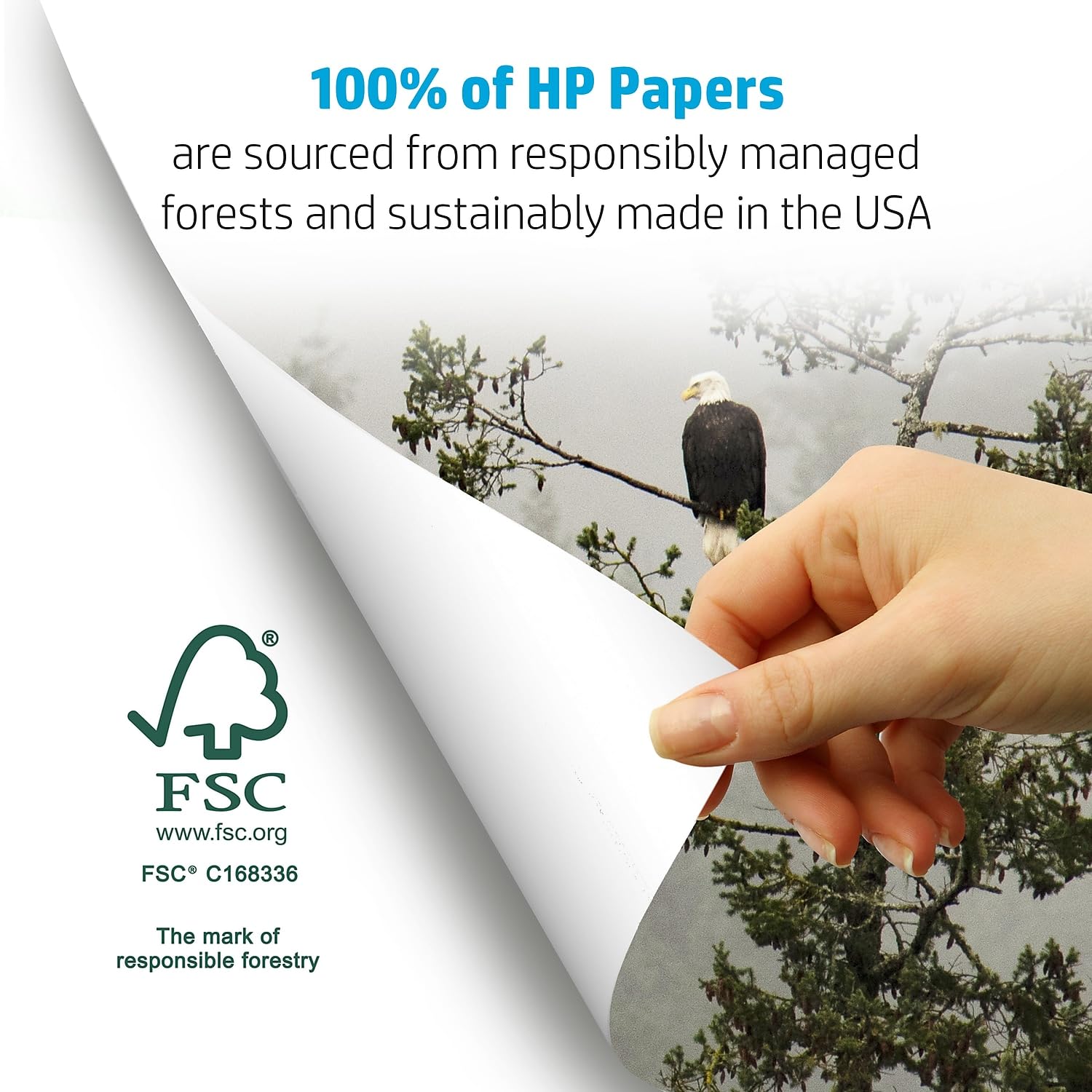 hp Printer Paper | 8.5 x 14 Paper | Office 20 lb | 1 Ream - 500 Sheets | 92 Bright | Made in USA - FSC Certified | 001422R