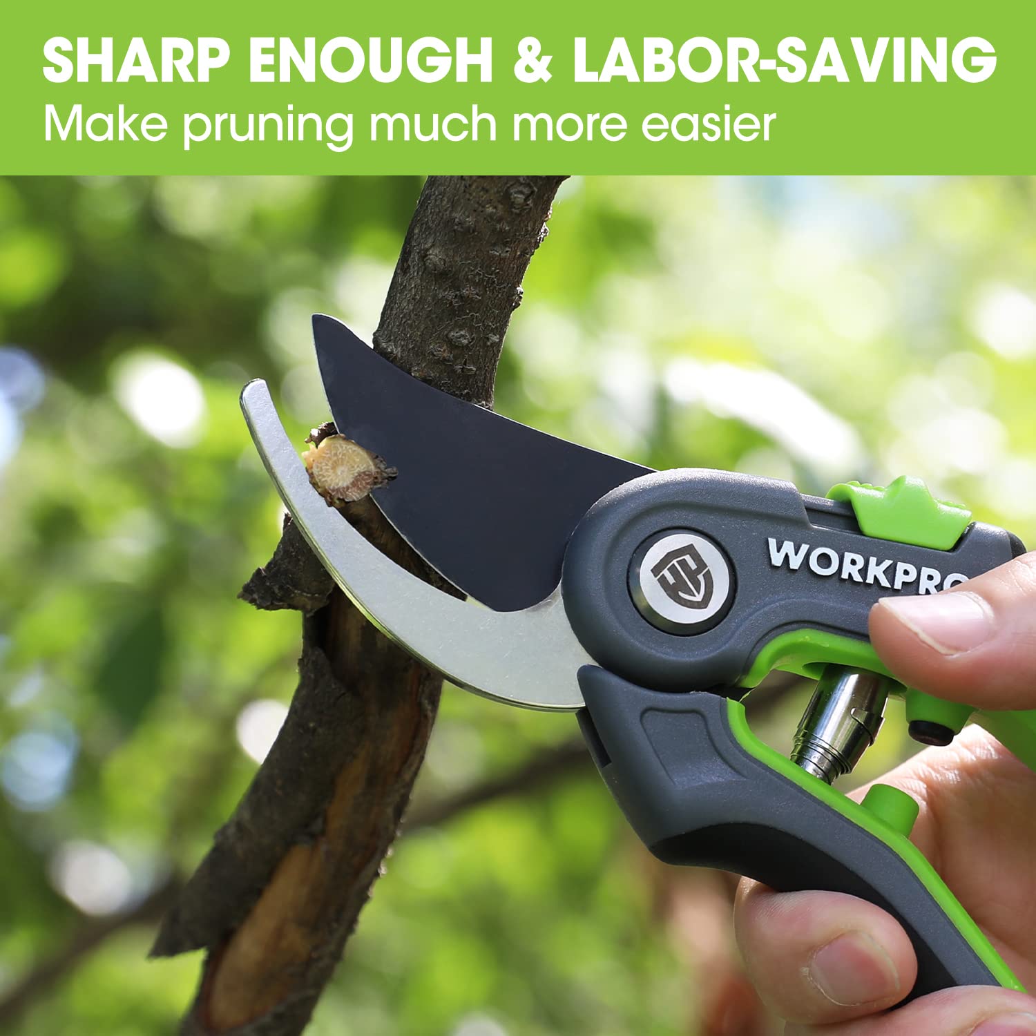 WORKPRO Bypass Pruning Shears, 8" Stainless Steel Gardening Hand Pruner, Professional Garden Trimming Scissors with Sharp SK5 Steel Blades, Ideal Garden Tool, Green