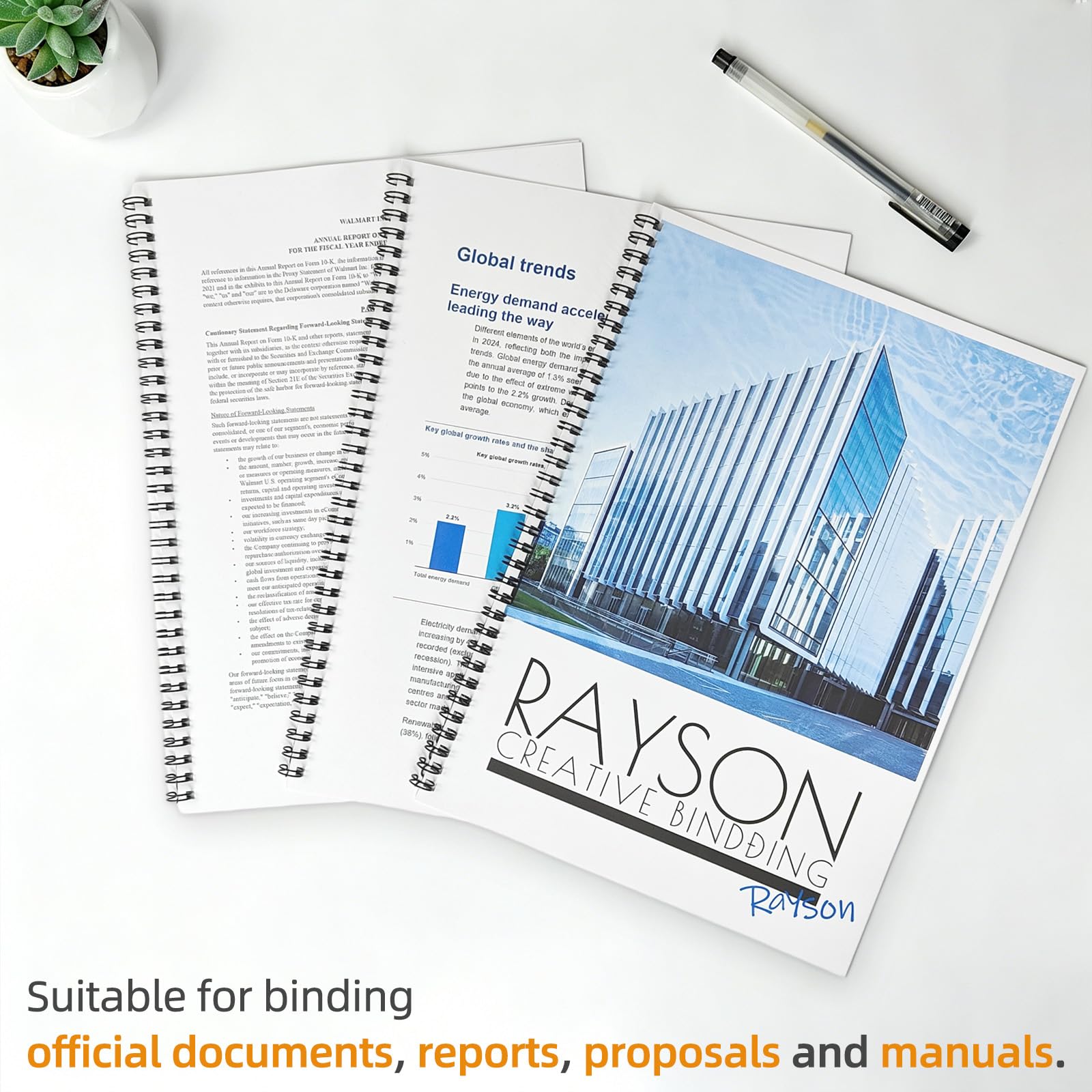 Rayson Double Loop Binding Wires 3/8 Inch - 3 to 1 Pitch Wire Binding Capacity 60 Sheets, 11 inch Length, 32-Loop Black Wire Ring Pack of 100 to Bind Reports and Projects