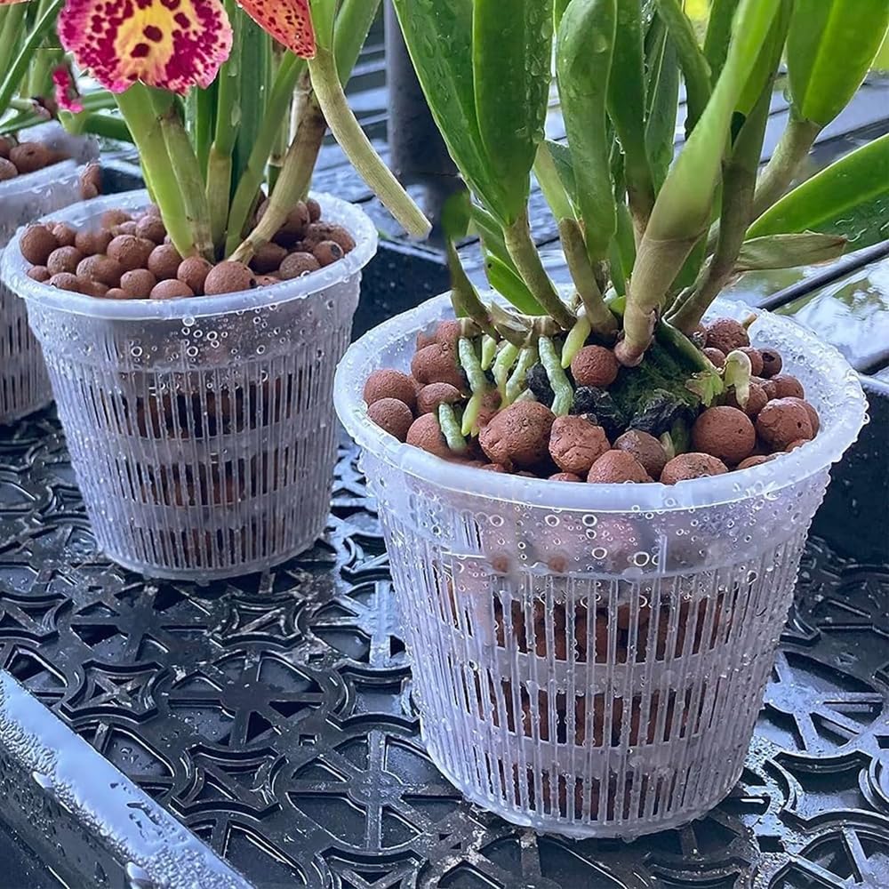 6 Pcs 5.5 Inch Orchid Pot with Holes and Saucers for Repotting Clear Plastic Flower Plant Indoor Outdoor Plants Orchids Planter Root Health Pots Nursery Drainage (6, 14 * 12cm)