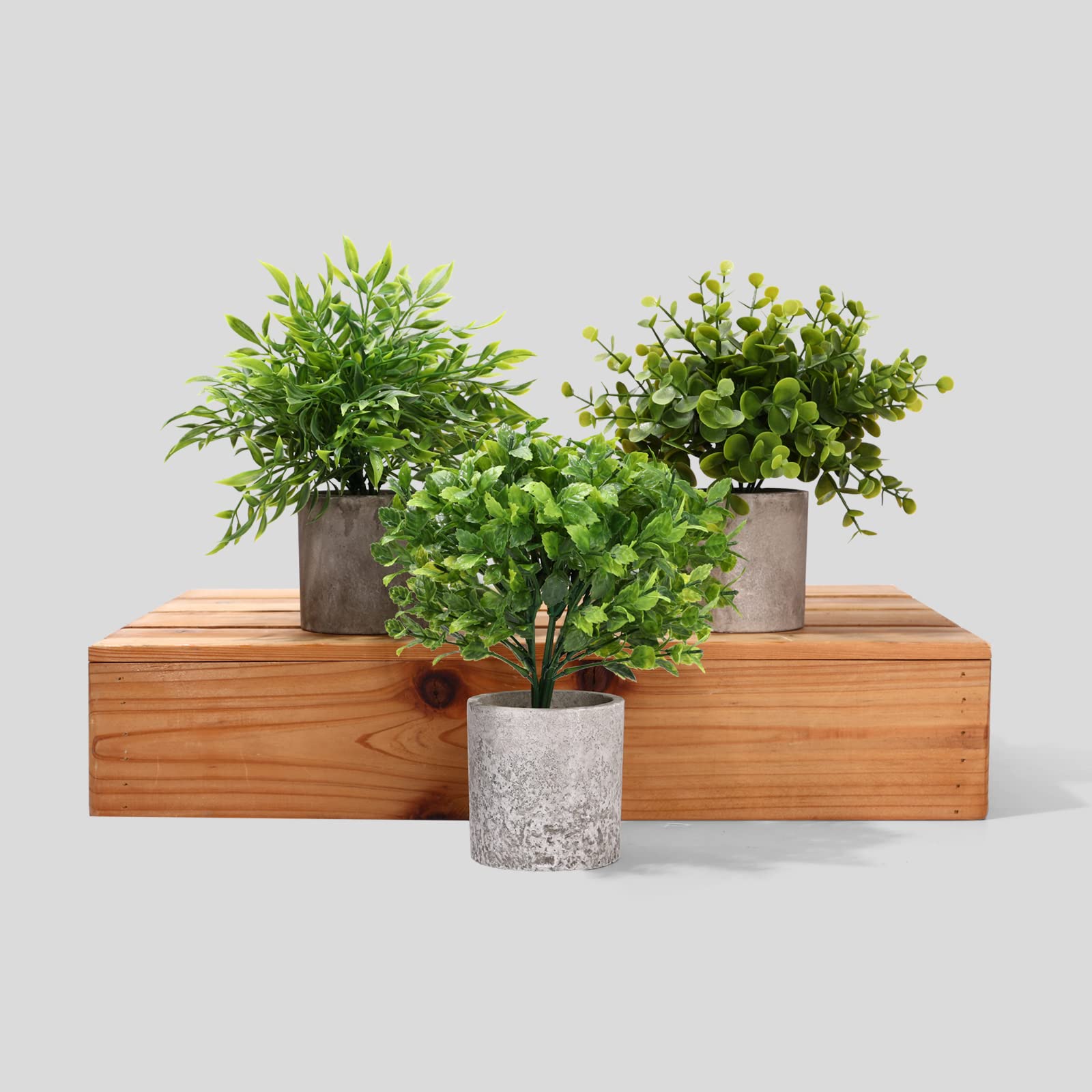 Decorative Artificial Plants in Pots Set of 3-Mini Potted Fake Plants in Pots,Plastic Eucalyptus Plants,Bamboo,Turtle Potted Faux Plants Indoor for Office Desk Coffee Table Wall Bedroom Decoration