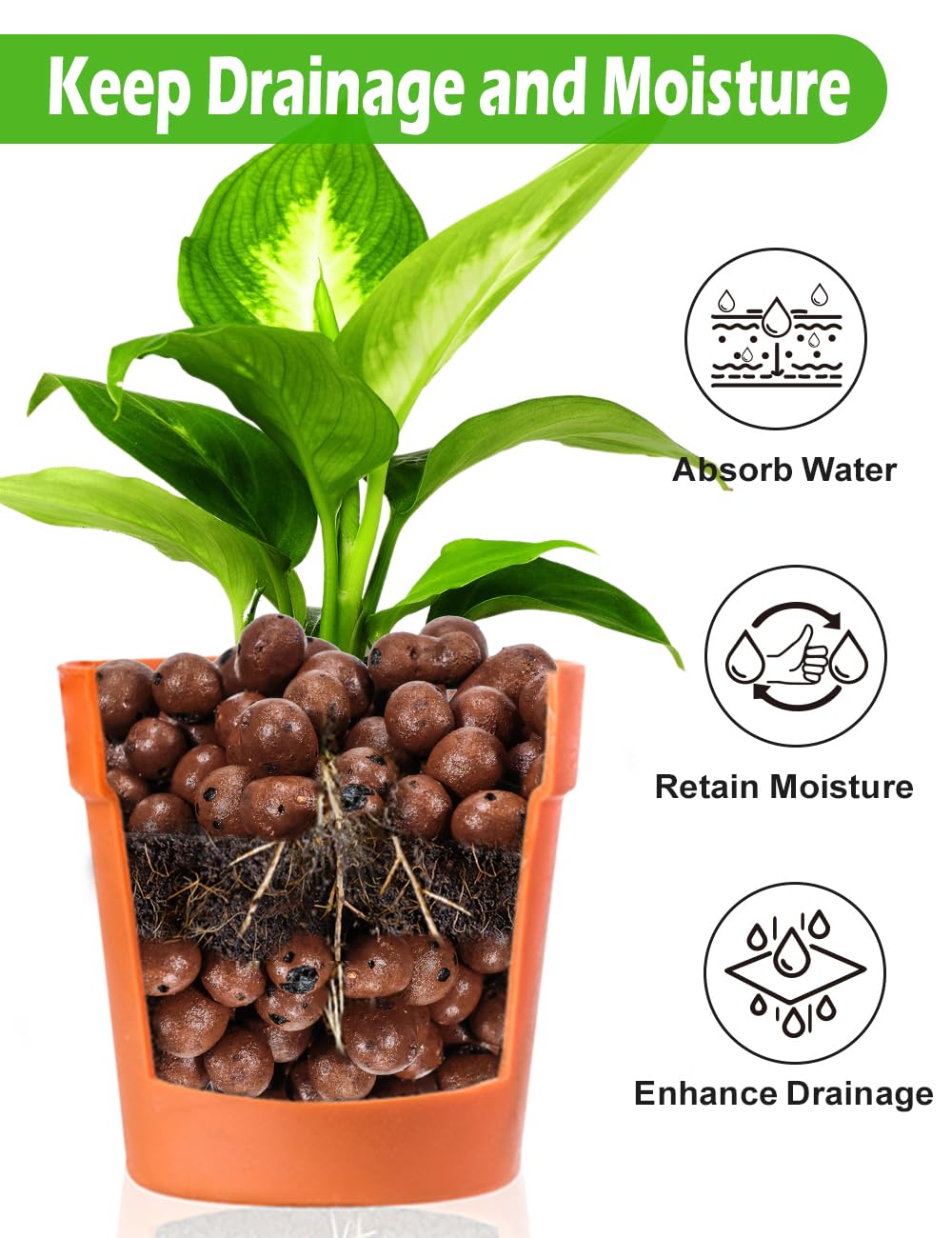 Expanded Hydroponic Clay Pebbles 2qt, 1.6 lb, 8mm-12mm, Natural Organic Flower Orchid Plant Grow Media, Porous Stones for Hydroponics, Drainage, Decoration, Aquaponics and Other Gardening Essentials