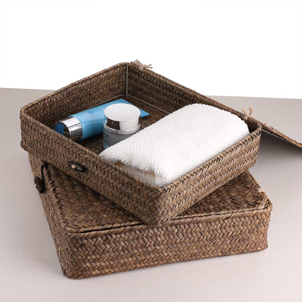 BTSKY Set of 2 Pack Woven Storage Baskets with Lids, Straw Wire Storage Organizer for Home/Office Supplies Such as Towels, Clothing, Cosmetics and Letters (Coffee)