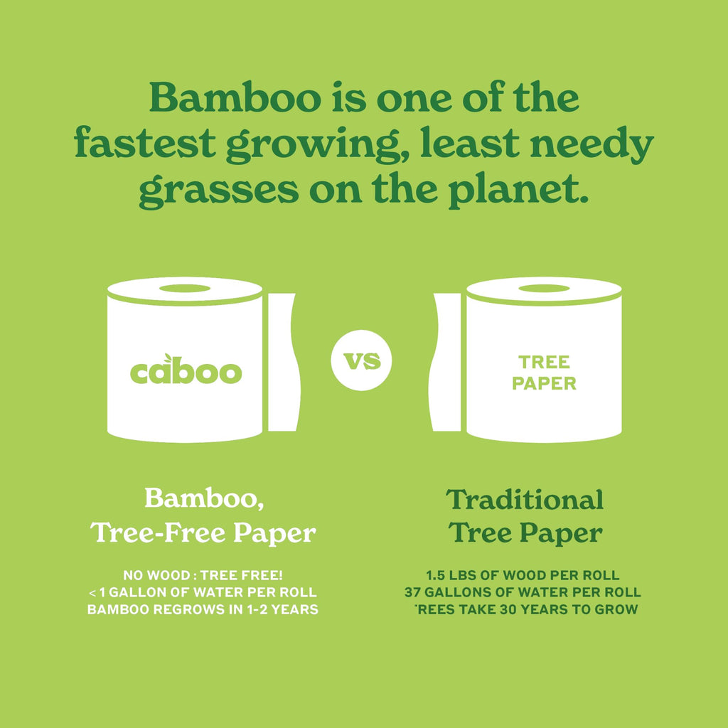 Caboo Tree Free Paper Towels, 6 Rolls, Earth Friendly Sustainable Kitchen Paper Towels with Strong 2 Ply Sheets