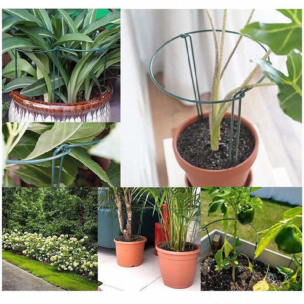 8 Pack Plant Support Stakes, Metal Interlinking Plant Stake for Garden, Plant Cages & Supports for Peony, Tomato, Hydrangea, Indoor Plants (9.8" W x 15.7" H)