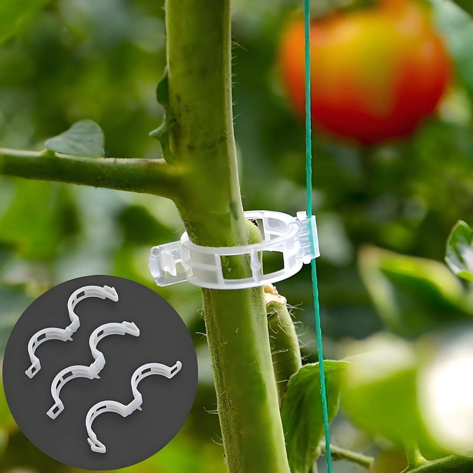VASLON 300PCS Tomato Clips, Garden Plant Support Clips for Tomatoes, Vines, Flowers, Vegetables, Climbing Plants to Grow Upright and Healthier (White)