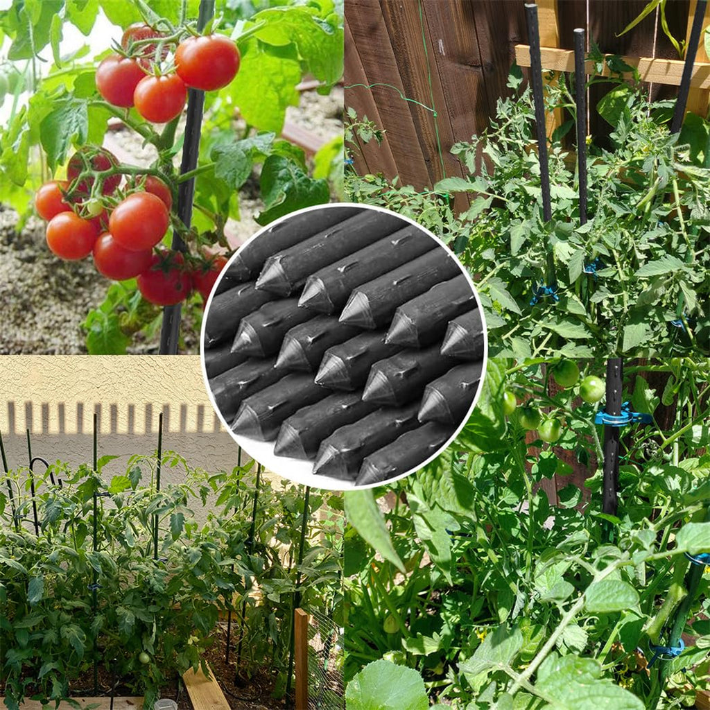 CUNQN Garden Stakes 42cm Plant Stake Metal Pack of 20 Garden Plants Sticks Tomato Stakes Plants Growing Stick with 10 Pcs Connector for Orchid Pea Vegetables Support, black, CQBLACKPPG20US