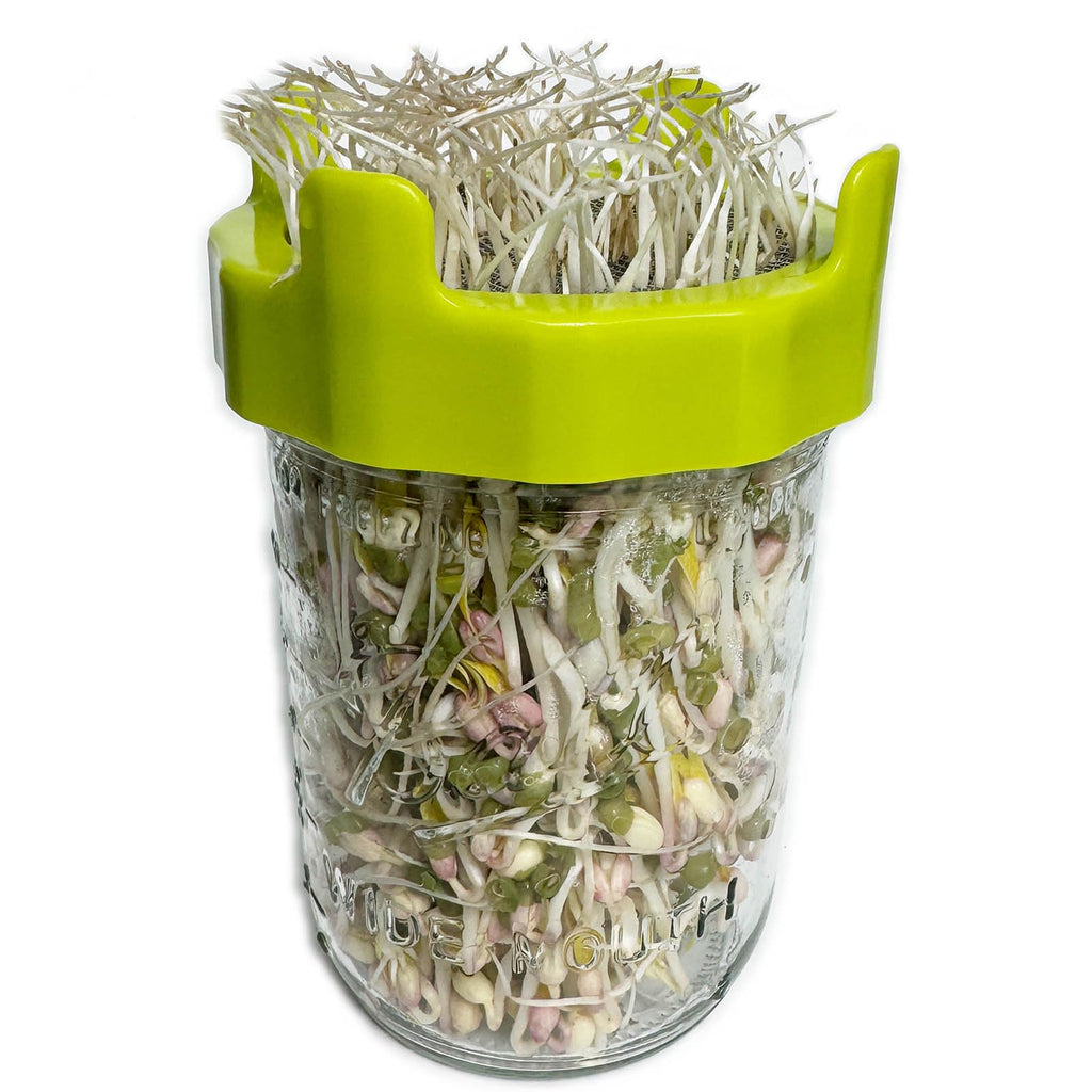 4PCS Plastic Sprout Lids with Stainless Steel Screen for Wide Mouth Mason Jars, Bean Screen Microgreens Growing Kit for Bean Sprouts, Broccoli Seeds, Alfalfa (4PCS(Green and Yellow))