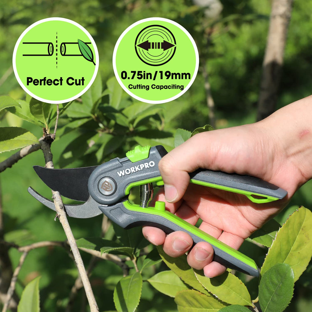 WORKPRO Bypass Pruning Shears, 8" Stainless Steel Gardening Hand Pruner, Professional Garden Trimming Scissors with Sharp SK5 Steel Blades, Ideal Garden Tool, Green
