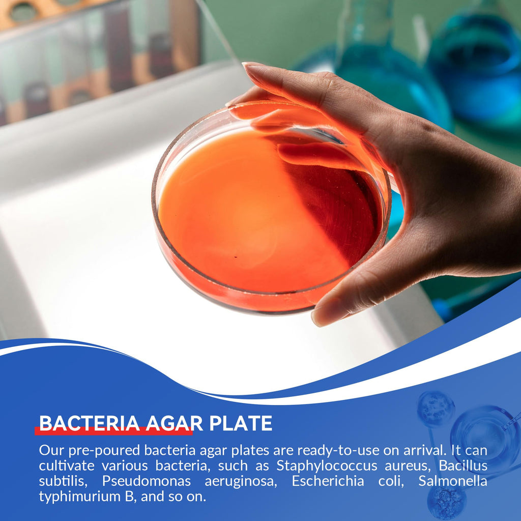 Nutrient Agar Petri Dishes Science Project Kit | Pre-Poured Agar Plates and Cotton Swabs for Science Experiments | Bacteria Science Kit - Sealed Separately