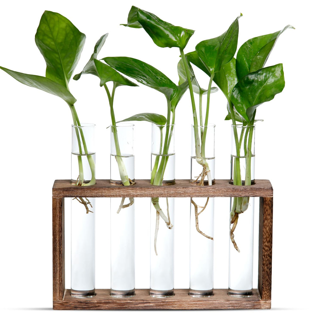 Decoration, Plant Propagation Station Decoration Maison Garden Decor, Indoor Home Office Desk Decor Plant Holder Flower Pot Gifts for Women Mom Best Friend Birthday Gifts 5 Planter Glass Vase