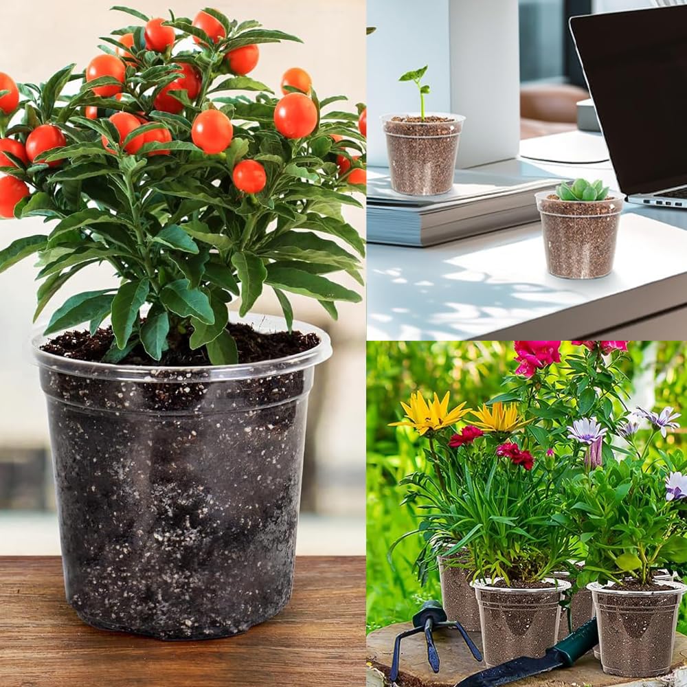 8 Pack 6 Inch Clear Plant Pots with Drainage Transparent Nursery for Plants Seeding Pots Orchid Pots Succulent Vegetable Flowers Small Indoor Plant Pots(8, 6")