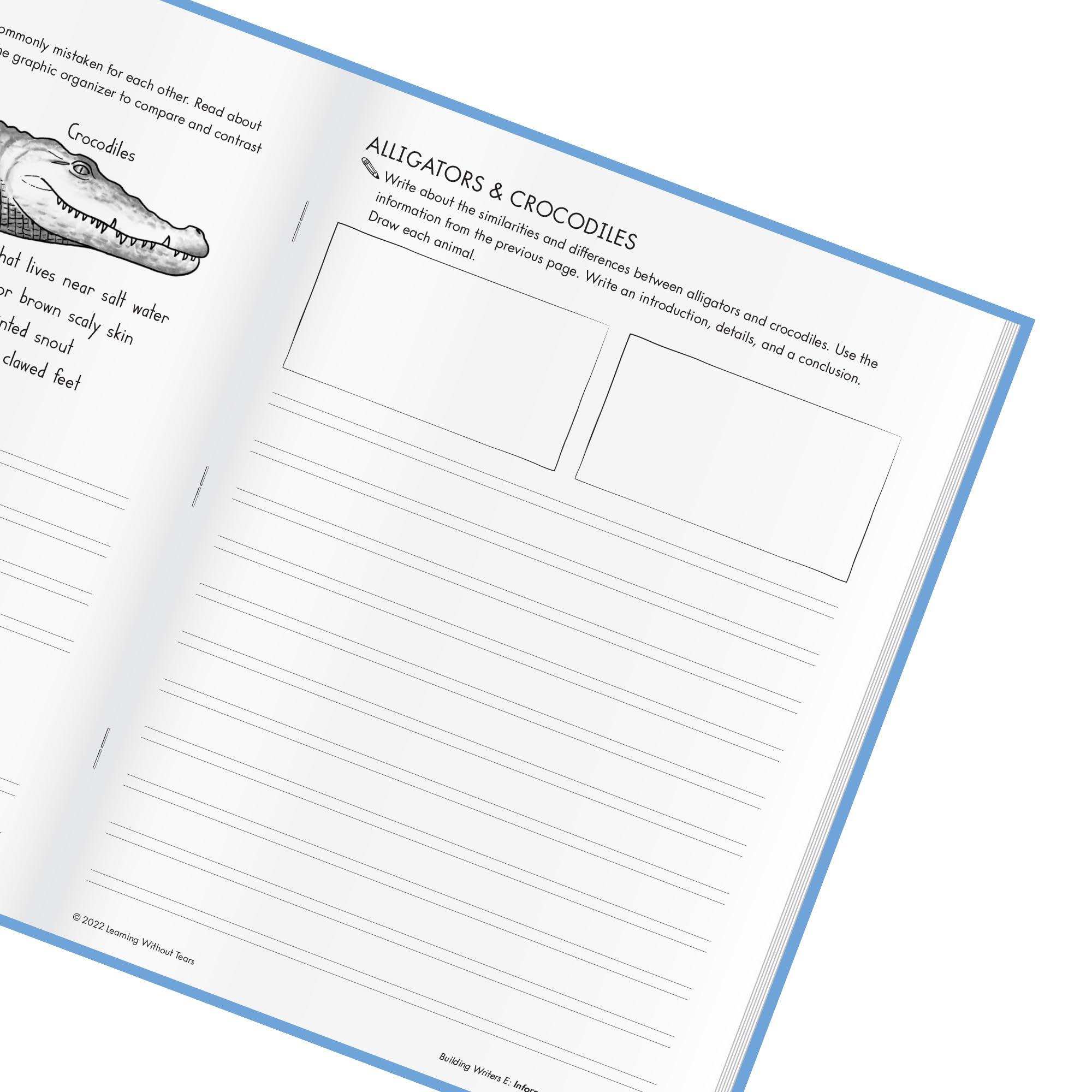 Learning Without Tears Building Writers, Student Edition- Grade 4, Writing Skills in Narrative, Information, Opinion Style, Writing Fluency- for School and Home Use