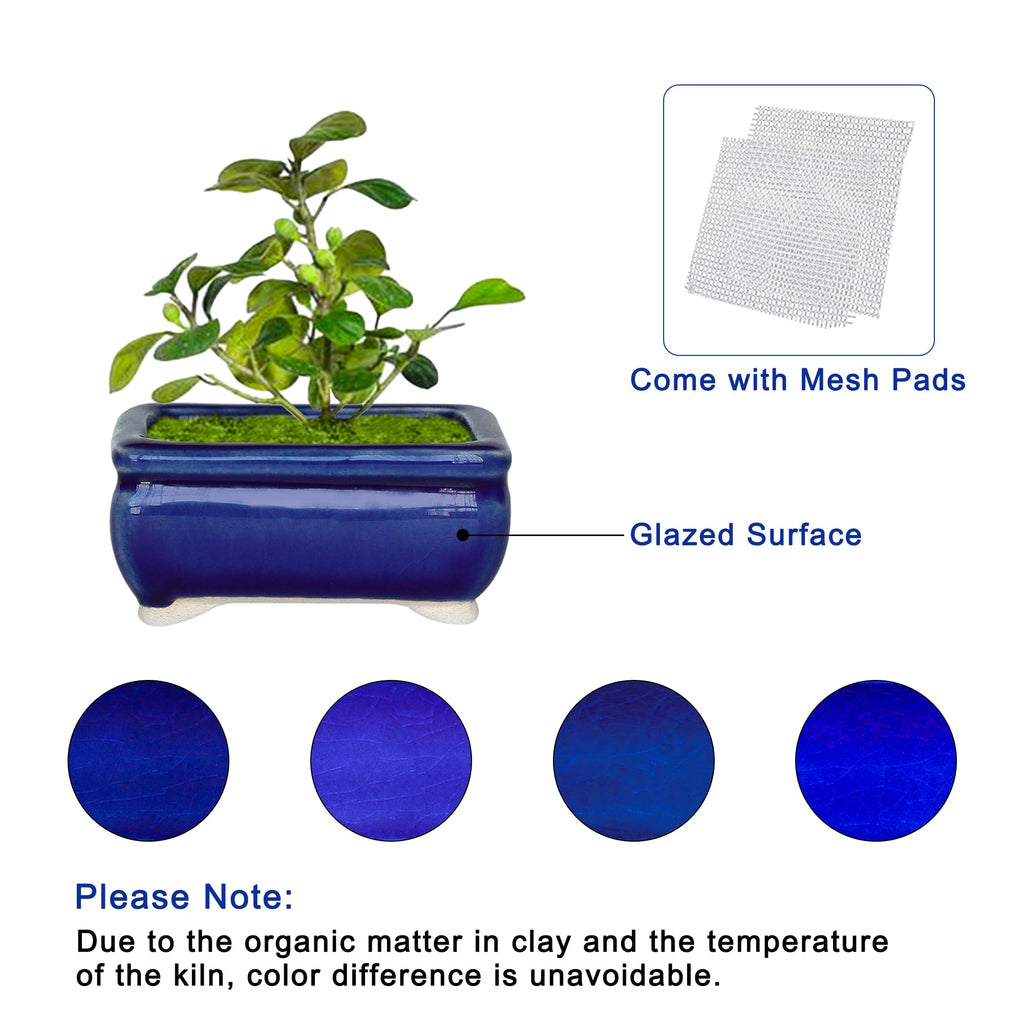 Happy Bonsai Planter Succulent 6 pc Mini Glazed Pots Value Set + 6 Drainage Screens