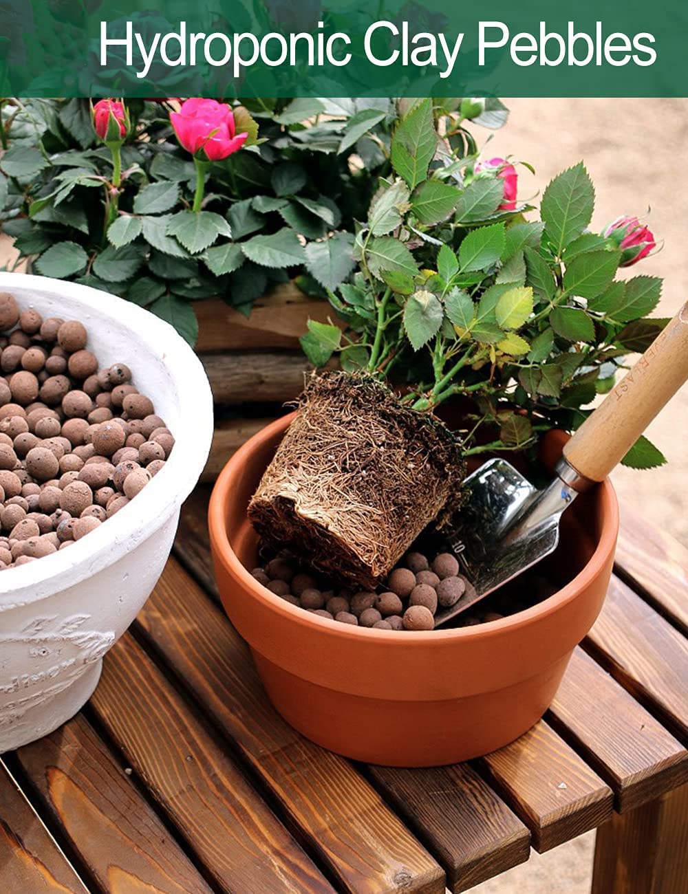 Expanded Hydroponic Clay Pebbles 2qt, 1.6 lb, 8mm-12mm, Natural Organic Flower Orchid Plant Grow Media, Porous Stones for Hydroponics, Drainage, Decoration, Aquaponics and Other Gardening Essentials
