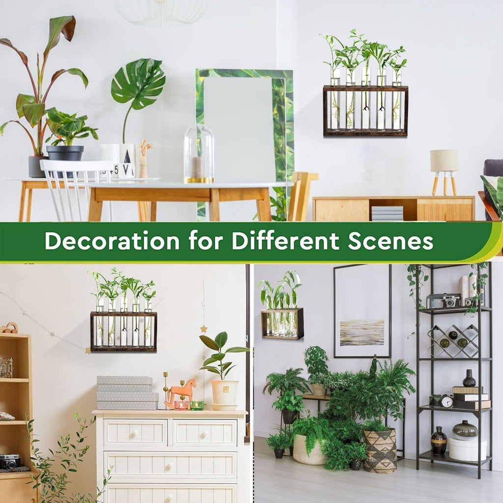 XXXFLOWER Plant Propagation Station Terrarium with Test Tube Desktop Hydroponics Rack, 5 Planter Glass Vase with Wooden Holder for Home Indoor Decoration
