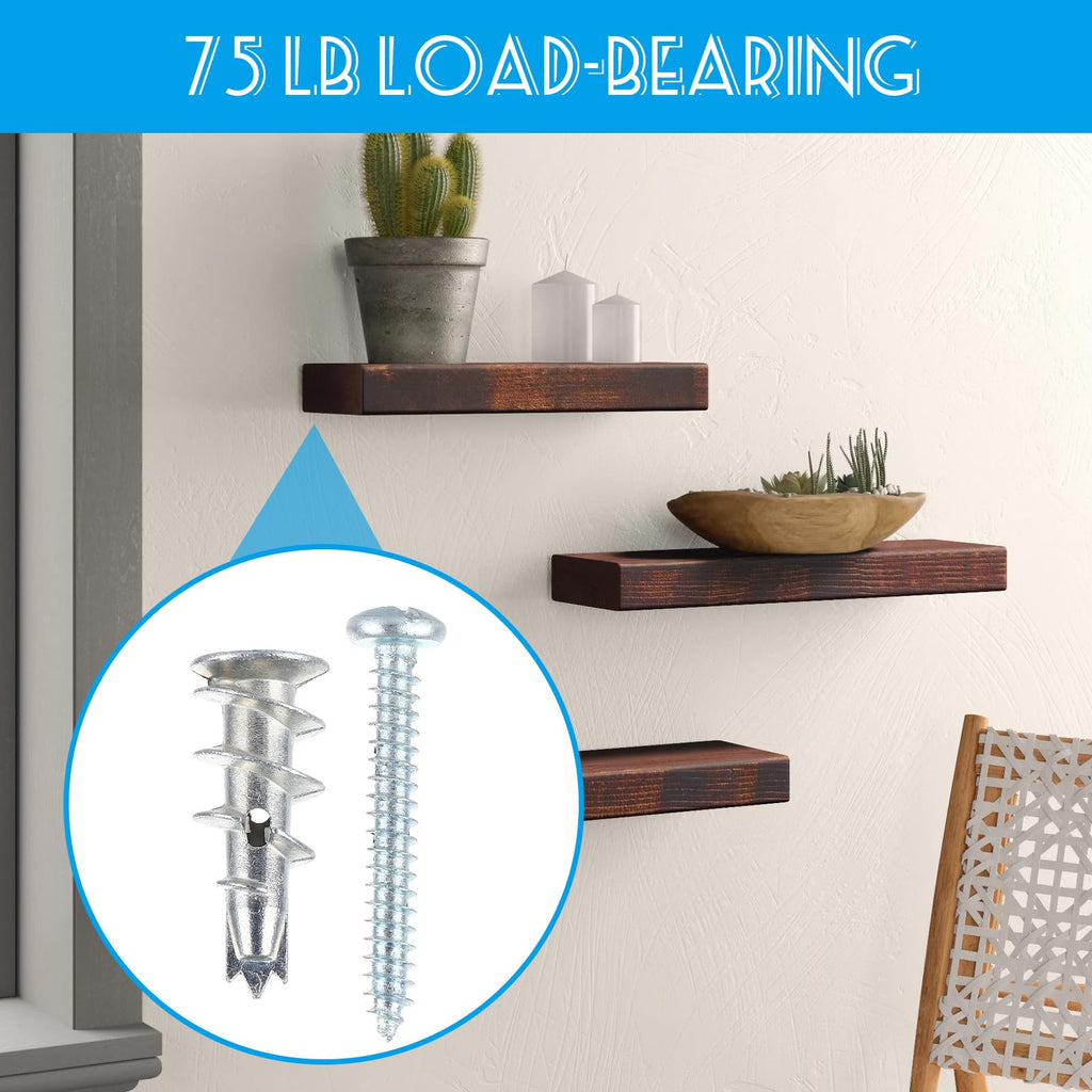 MUXHEL 240Pcs Drywall Anchors and Screws Kit, Heavy Duty Heavy Duty Zinc Self Drilling Drywall Anchors with #8 x 1-1/4'' Screws Kit for Drywall, Sheetrock, Hollow Door and Plaster Wall