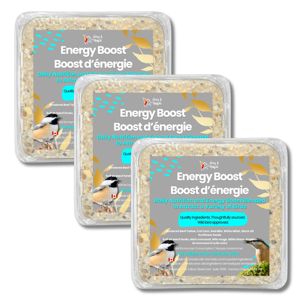 Chirp & Maple, Energy Boost, High-Energy Suet for Wild Birds, Wild Bird Food (3-Pack) 900G