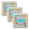Chirp & Maple, Energy Boost, High-Energy Suet for Wild Birds, Wild Bird Food (3-Pack) 900G