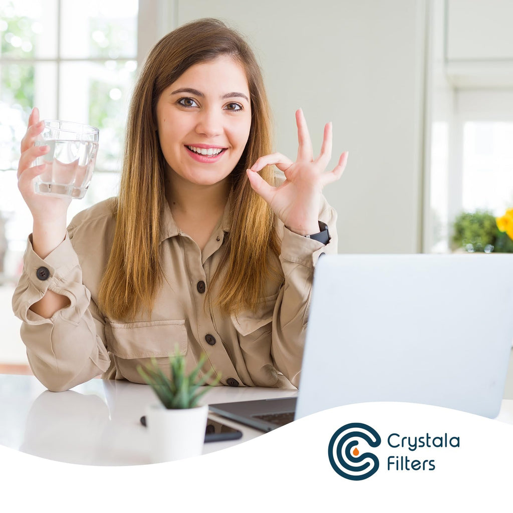 Crystala Filters Water Filter Compatible with XWFE (Built-in CHIP), Replacement for GE XWFE, XWF Refrigerator Water Filter, Pack of 1