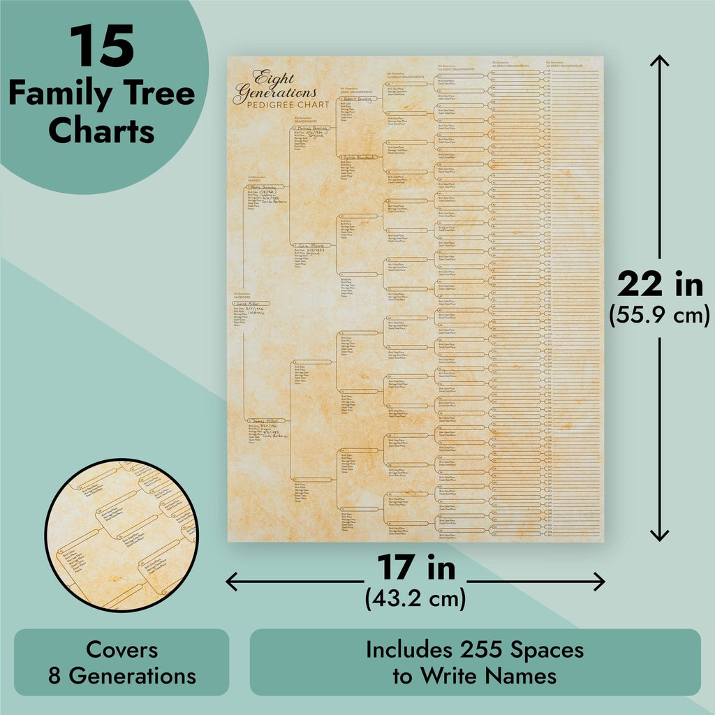 15-Pack Family Tree Charts to Fill In, Blank 8 Generation Genealogy Poster for Family History, Lineage, Reunions, Large Pedigree Chart, 255 Total Name Spaces (17x22 in)