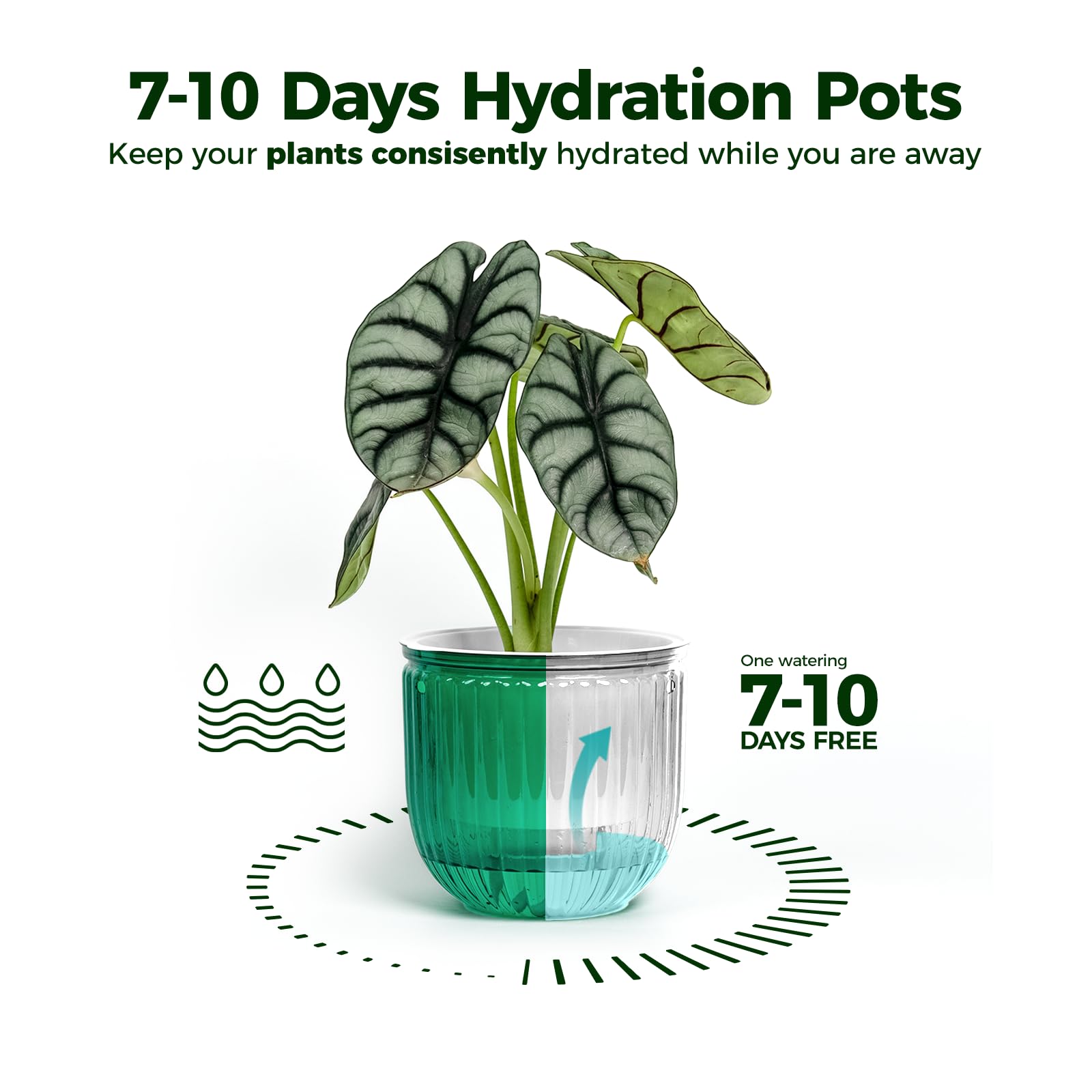 Bamworld Hanging Planters for Indoor Plants Self Watering Pots with Drainage Hole 3 Pack 6.5 Inch Outdoor Plant Hanger Hanging Pots with 3 Hooks Chains Spider Plants Live House Planters(Emerald)