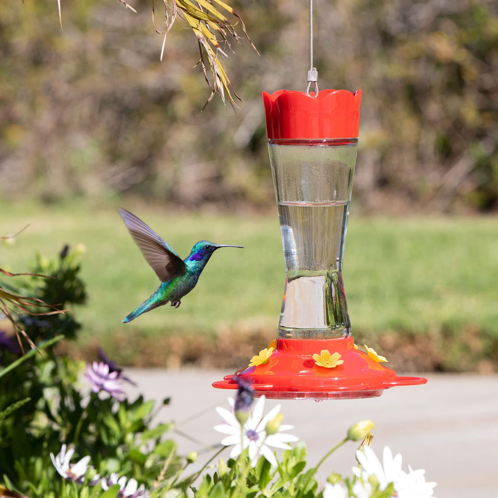 MEKKAPRO Outdoor Hummingbird Feeder Made from Glass, Hanging 5 Nectar Feeding Stations, Bright Red, Backyard Feeder (10 Ounce)