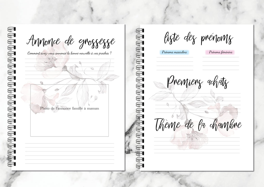 Journal De Grossesse (en français)