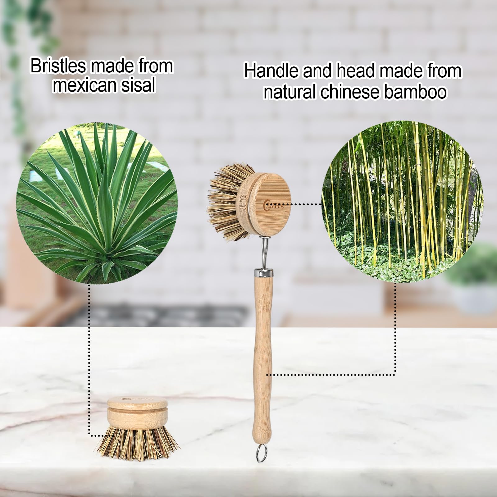 Bamboo Dish Scrubber - Hard Bristle, Natural Dish Brush with Handle, Sustainable & Biodegradable, Kitchen Scrub Brush for Dishes, Iron POTS, Baking Trays, Barbecue Grills