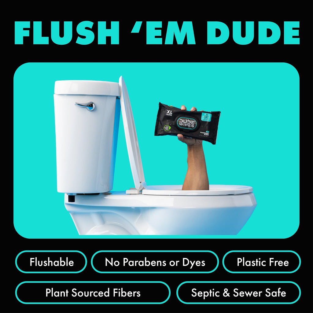 DUDE Wipes Flushable Wet Wipes Dispenser, Mint Chill, 48 Count (Pack of 3) Scented Wet Wipes with Vitamin-E, Aloe, Eucalyptus & Tea Tree Oils for at-Home Use, Septic and Sewer Safe