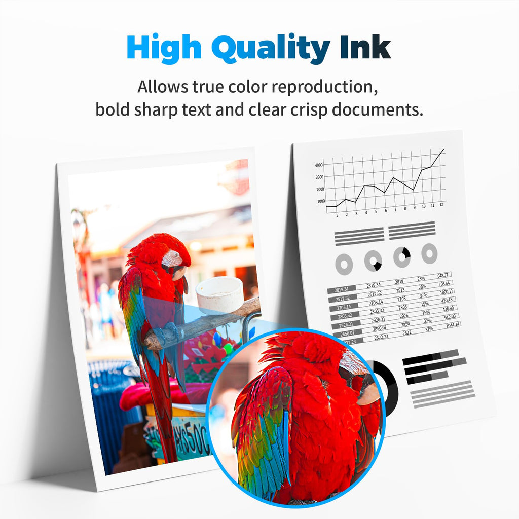 BAIINK Remanufactured Ink Cartridge Replacement for HP Ink 63 XL HP 63XL for 3830 4650 4652 4655 5252 5255 5258 4520 4512 1112 1110 3630 3632 2130 2132 Printer (Black 2-Pack)
