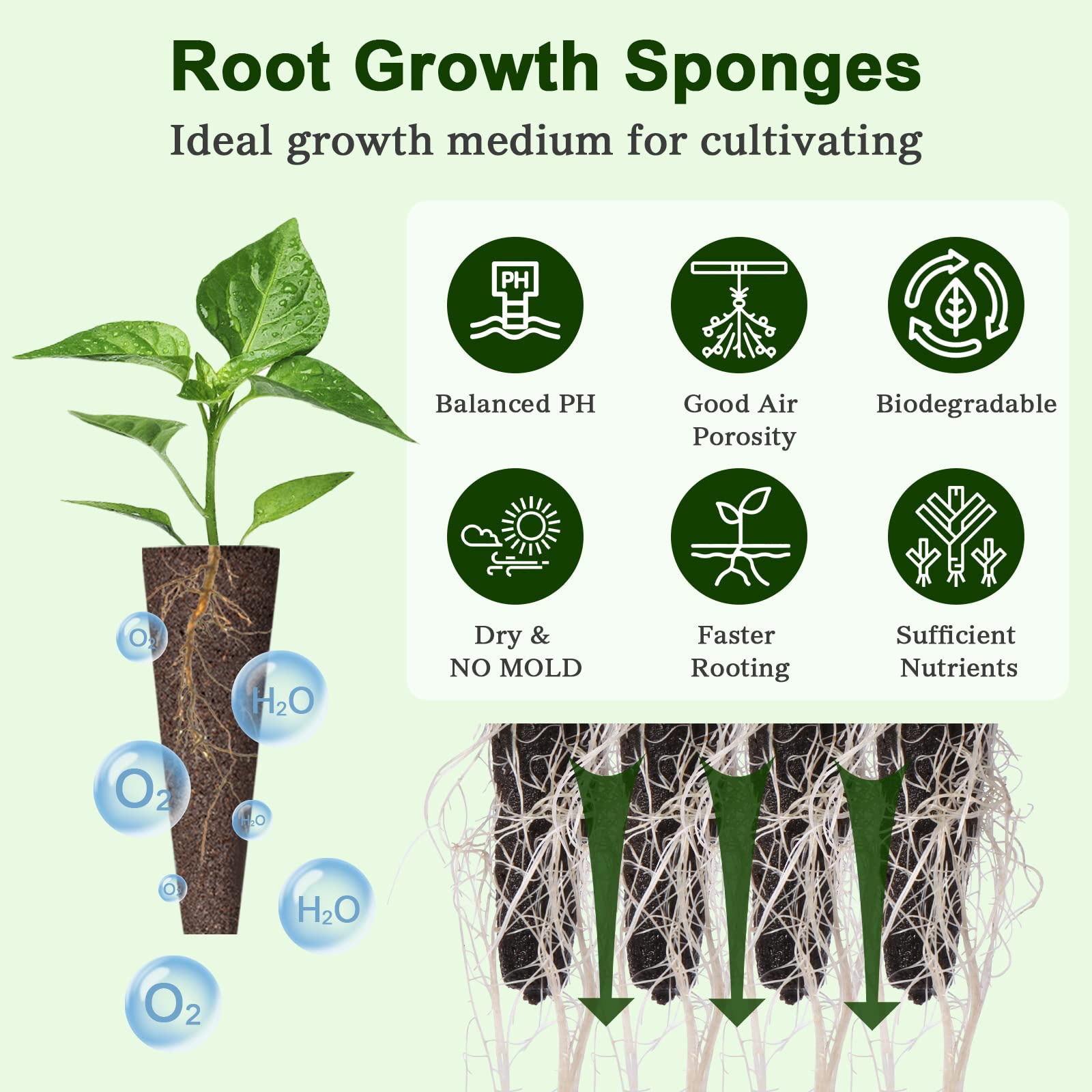 Yoocaa 136pcs Seed Pod Kit for Aerogarden, Hydroponic Grow Anything Kit with 50 Sponges, 12 Baskets, 50 Labels, 24 Domes, Seed Starter Pod Replacement Root Growth Sponges for Idoo, LYKO