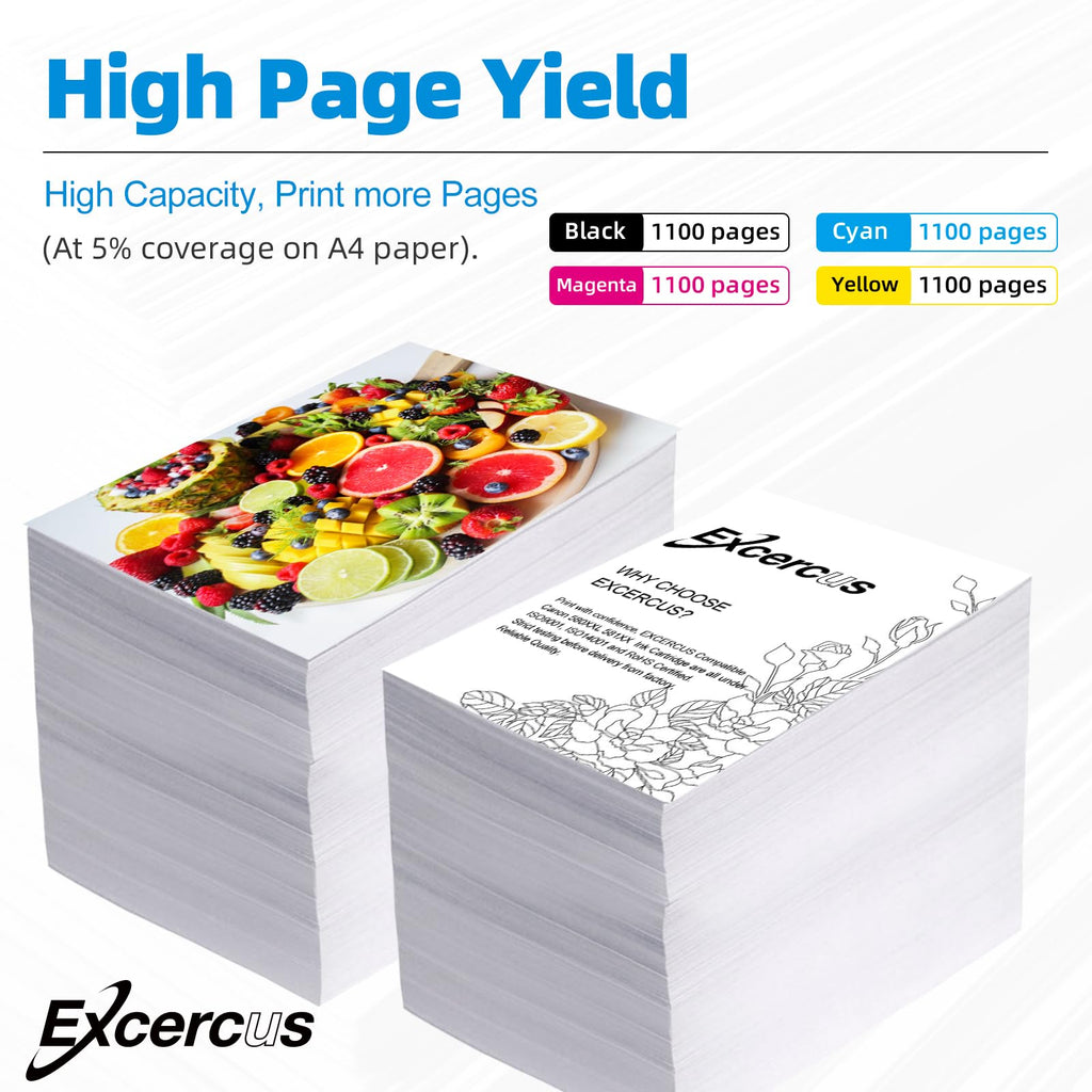 EXCERCUS 252XL Ink Cartridges Remanufactured for Epson 252XL T252 Ink Cartridge Work for WorkforceWF-7720 WF-3640 WF-7710 WF-3620 WF-7210 WF-7610 WF-7620 (2 Large Black, 2Cyan,2Magenta, 2Yellow)