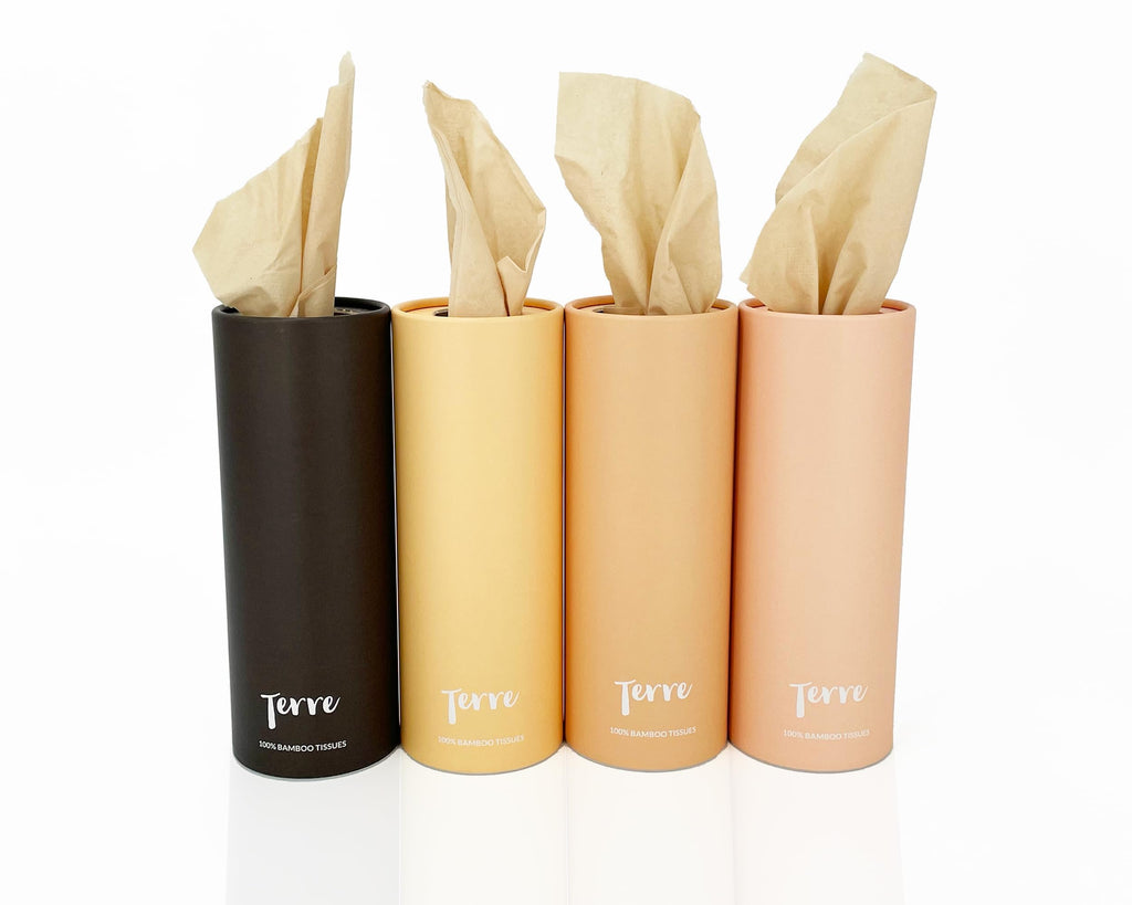 Terre Bamboo Car Tissues, 3-Ply, Unbleached, Refillable, 4 Pack (200 Sheets Total), FSC-Certified, Eco-Friendly, On-The-Go Facial Travel Tissues, Tree-Free, Plant Based, Hypoallergenic, Sustainable