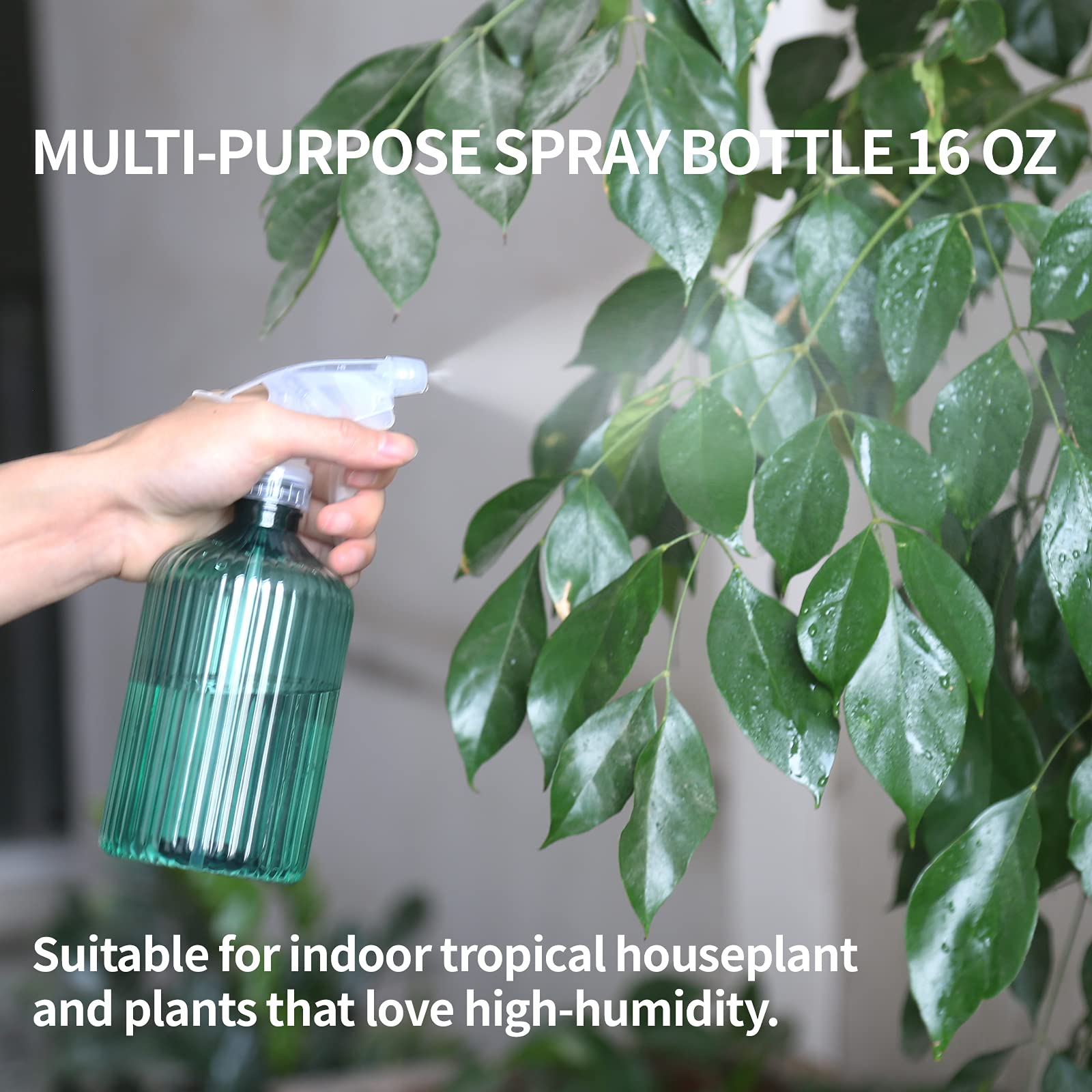 ONEDONE Watering Can Indoor Plants, Long Spout Plant Watering Can 1L 34oz, Small Watering Can for House Plants Garden Potted Flowers Green with Bonus Spray Bottle, Squeeze Bottle