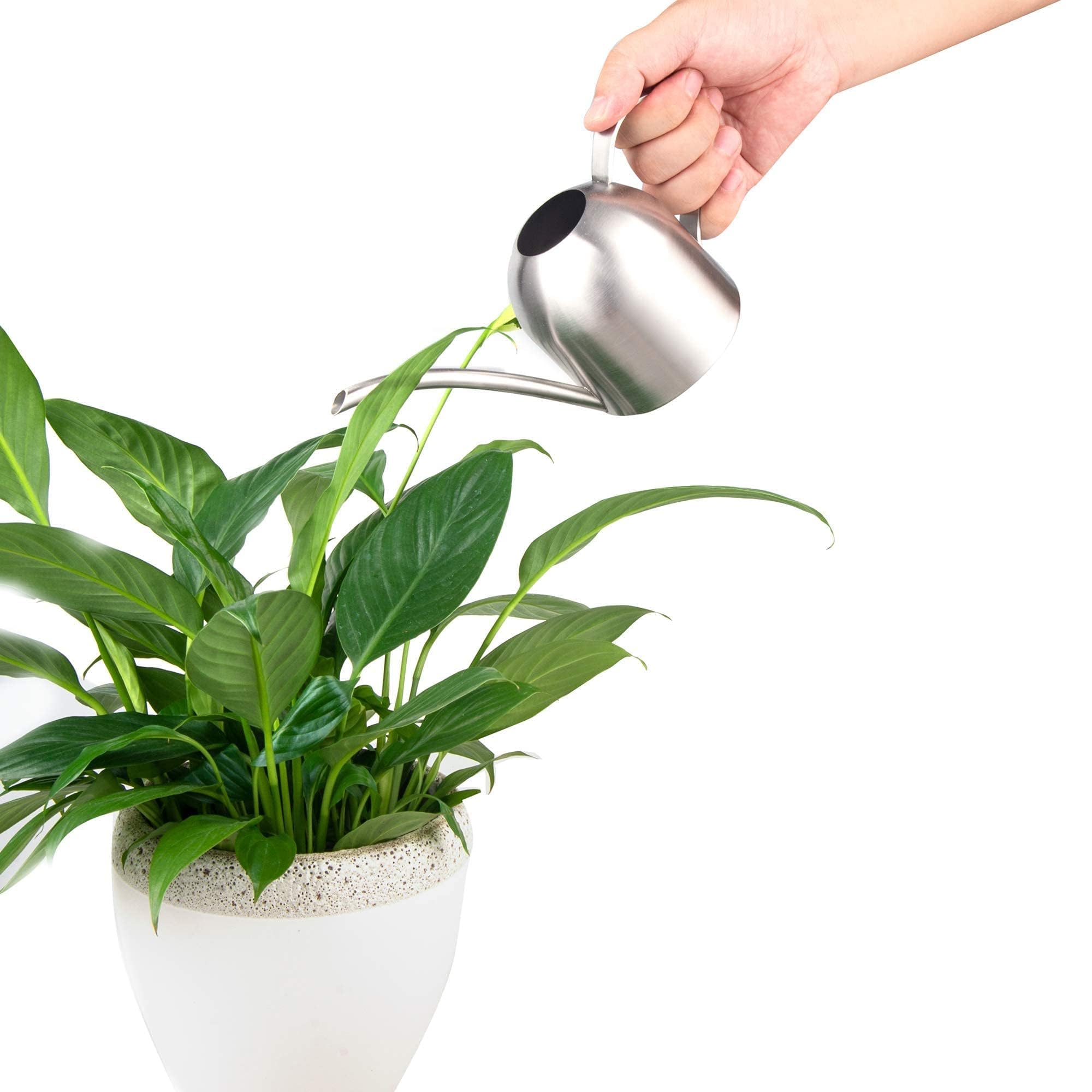 IMEEA Mini Watering Can Small Indoor Houseplant Watering Can for Orchid Bonsai Succulent Desk Office Stainless Steel (15oz/450ml)