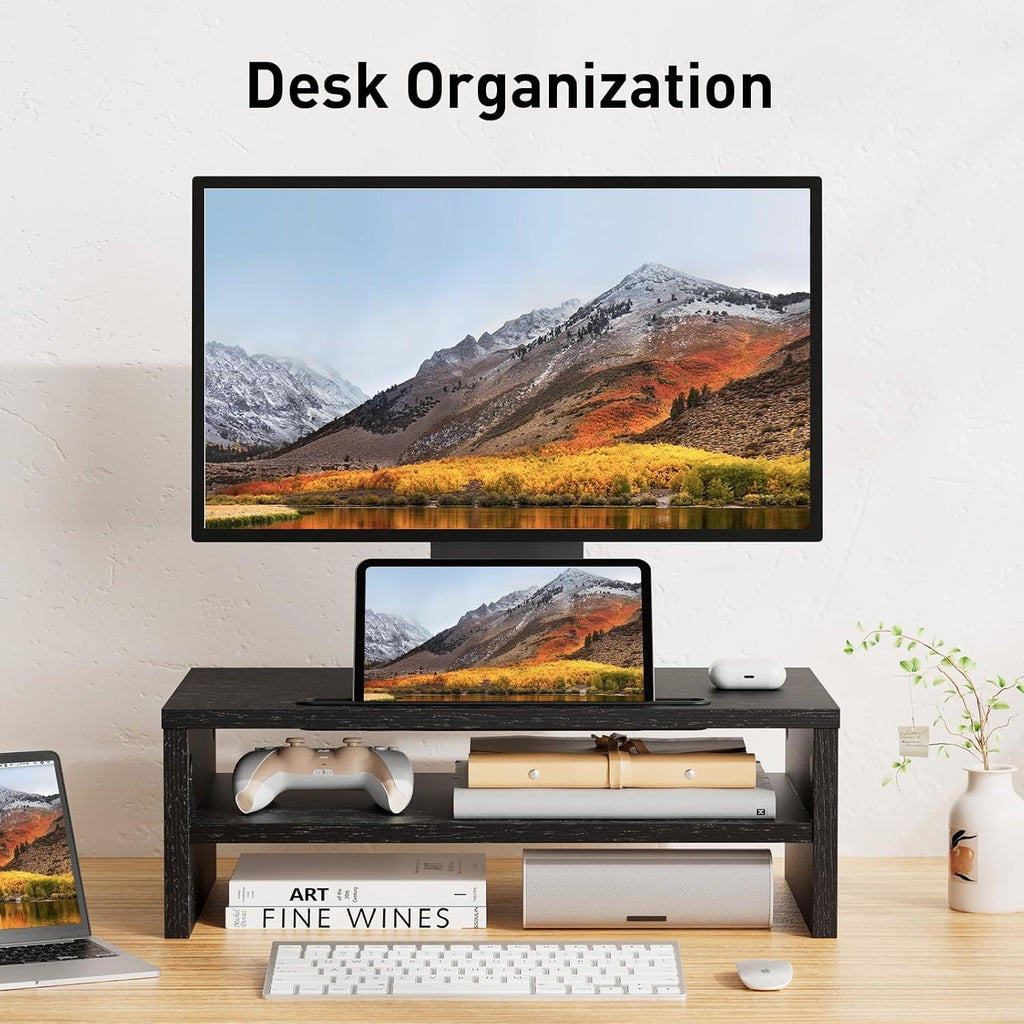 LORYERGO Monitor Stand, Monitor Riser, 2 Tier Computer Stand, Monitor Stand Riser w/Cellphone Holder & Storage Space, Desk Stand 16.5 inch for Laptop, Printer, PC, for Home & Office -LEMS09
